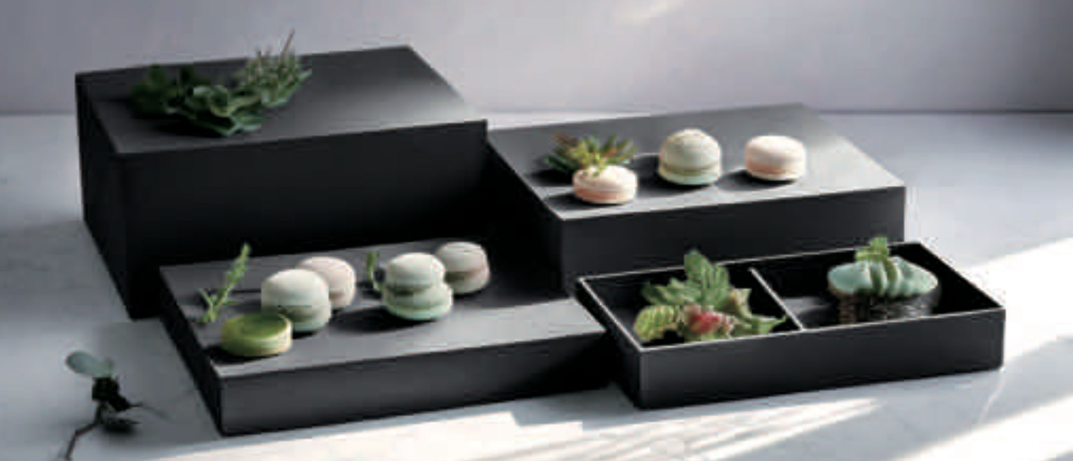 ディスプレイボックスイメージ